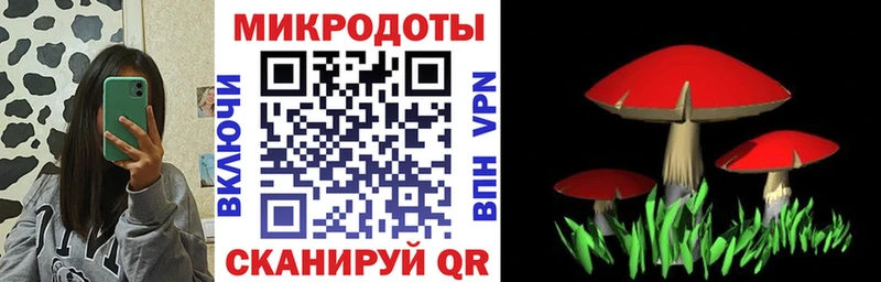 Купить  Печора  Галлюциногенные грибы Psilocybine cubensis 
